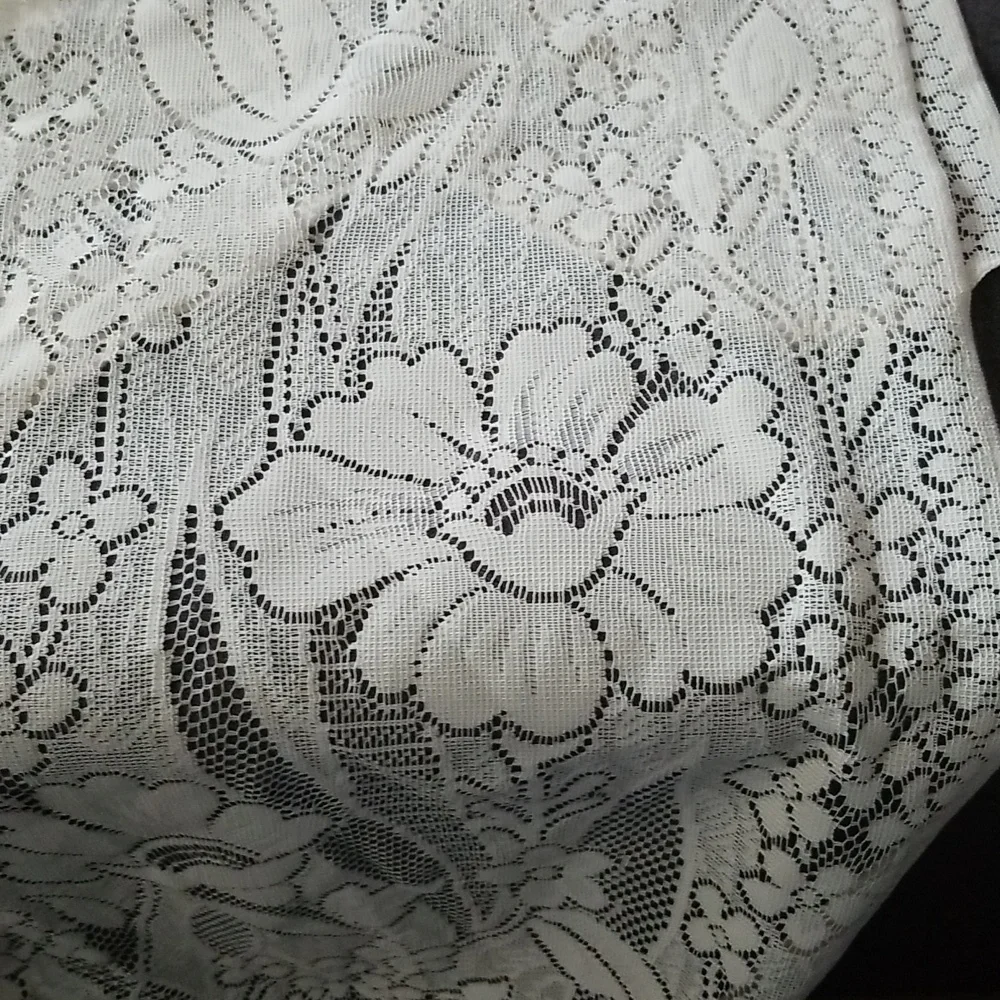 Lacey Floral Curtain Panel 56